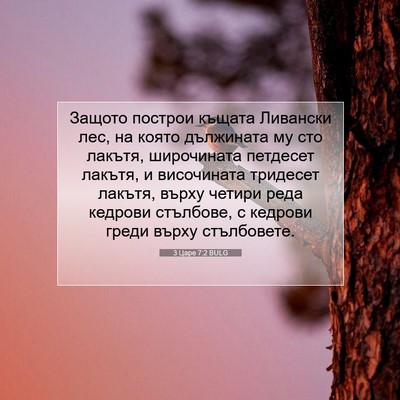 Picture 07 - 3 Царе 7:2 BULG - Защото построи къщата - Bible Verse Picture
