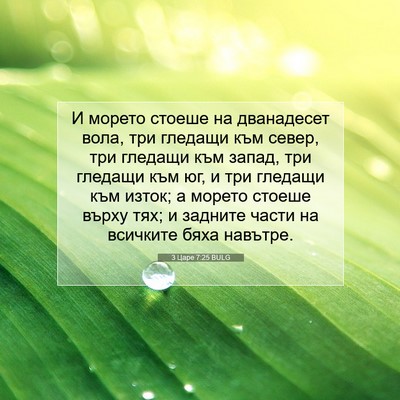 Picture 07 - 3 Царе 7:25 BULG - И морето стоеше на - Bible Verse Picture