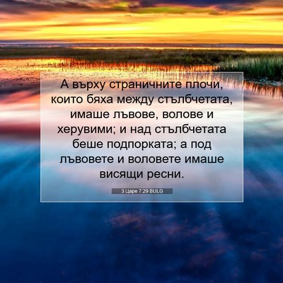 Picture 07 - 3 Царе 7:29 BULG - А върху страничните плочи, - Bible Verse Picture