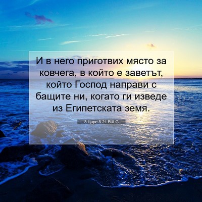 Picture 07 - 3 Царе 8:21 BULG - И в него приготвих място за - Bible Verse Picture