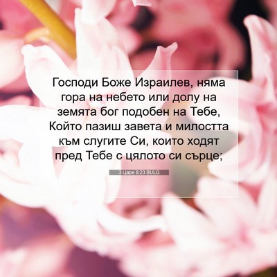 Picture 07 - 3 Царе 8:23 BULG - Господи Боже Израилев, - Bible Verse Picture