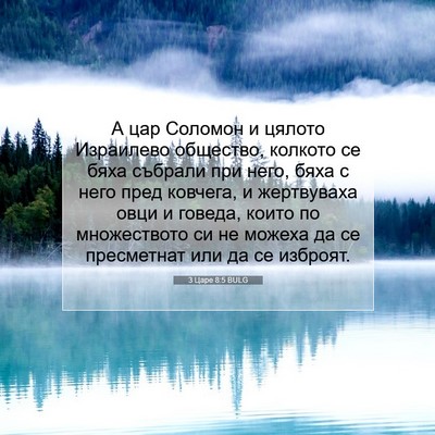 Picture 07 - 3 Царе 8:5 BULG - А цар Соломон и цялото - Bible Verse Picture