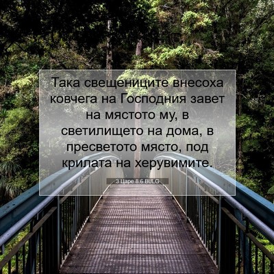 Picture 07 - 3 Царе 8:6 BULG - Така свещениците внесоха - Bible Verse Picture