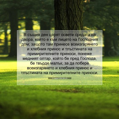Picture 07 - 3 Царе 8:64 BULG - В същия ден царят освети - Bible Verse Picture