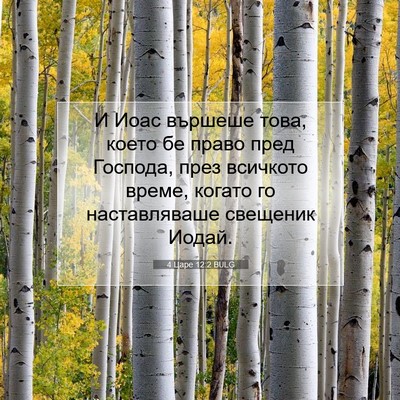 Picture 07 - 4 Царе 12:2 BULG - И Иоас вършеше това, което - Bible Verse Picture