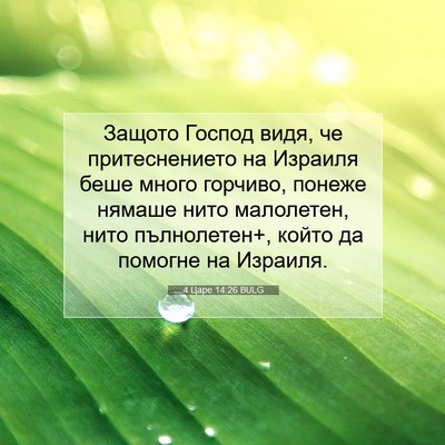 Picture 07 - 4 Царе 14:26 BULG - Защото Господ видя, че - Bible Verse Picture