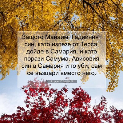 Picture 07 - 4 Царе 15:14 BULG - Защото Манаим, Гадииният - Bible Verse Picture