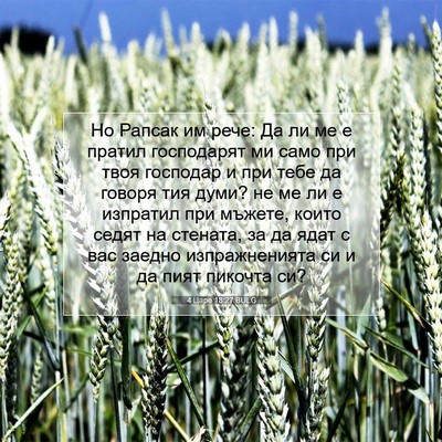 Picture 07 - 4 Царе 18:27 BULG - Но Рапсак им рече: Да ли ме - Bible Verse Picture