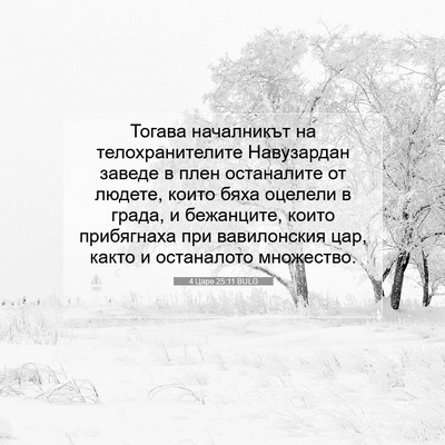 Picture 07 - 4 Царе 25:11 BULG - Тогава началникът на - Bible Verse Picture