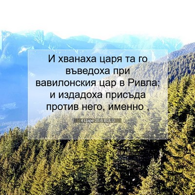 Picture 07 - 4 Царе 25:6 BULG - И хванаха царя та го - Bible Verse Picture