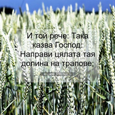 Picture 07 - 4 Царе 3:16 BULG - И той рече: Така казва - Bible Verse Picture