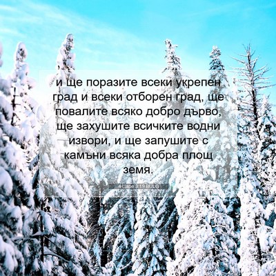 Picture 07 - 4 Царе 3:19 BULG - и ще поразите всеки - Bible Verse Picture