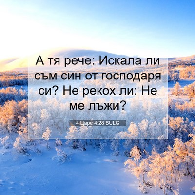 Picture 07 - 4 Царе 4:28 BULG - А тя рече: Искала ли съм син - Bible Verse Picture