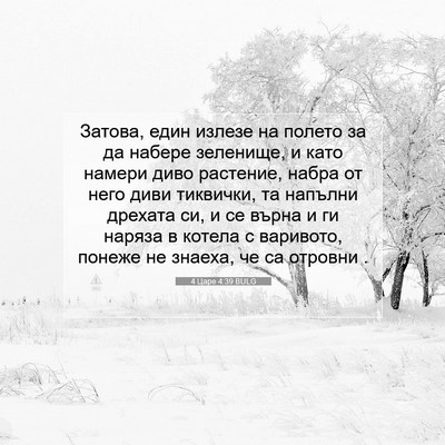 Picture 07 - 4 Царе 4:39 BULG - Затова, един излезе на - Bible Verse Picture