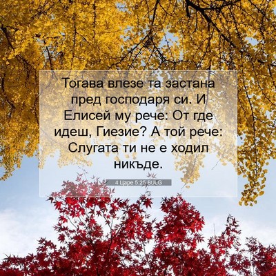 Picture 07 - 4 Царе 5:25 BULG - Тогава влезе та застана - Bible Verse Picture