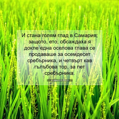 Picture 07 - 4 Царе 6:25 BULG - И стана голям глад в - Bible Verse Picture