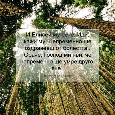 Picture 07 - 4 Царе 8:10 BULG - И Елисей му рече: Иди, кажи - Bible Verse Picture