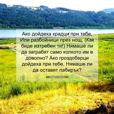 Picture 07 - Авдий 1:5 BULG - Ако дойдеха крадци при - Bible Verse Picture