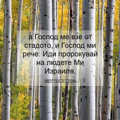 Picture 07 - Амос 7:15 BULG - а Господ ме взе от стадото, - Bible Verse Picture