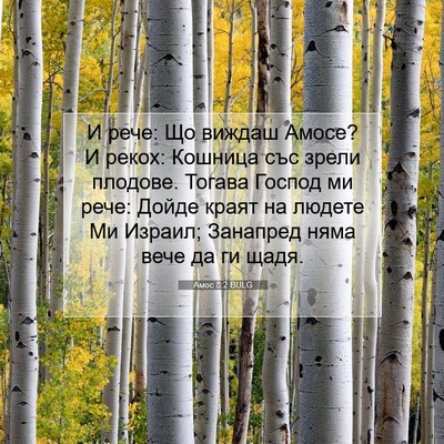 Picture 07 - Амос 8:2 BULG - И рече: Що виждаш Амосе? И - Bible Verse Picture
