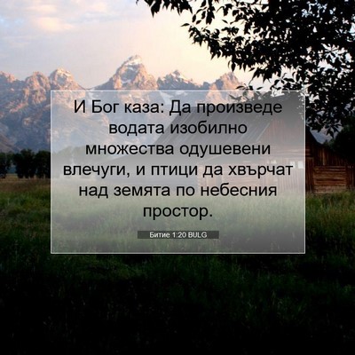 Picture 07 - Битие 1:20 BULG - И Бог каза: Да произведе - Bible Verse Picture