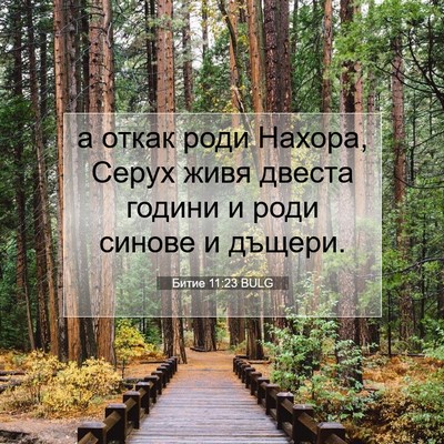 Picture 07 - Битие 11:23 BULG - а откак роди Нахора, Серух - Bible Verse Picture