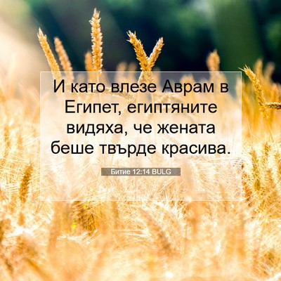 Picture 07 - Битие 12:14 BULG - И като влезе Аврам в - Bible Verse Picture