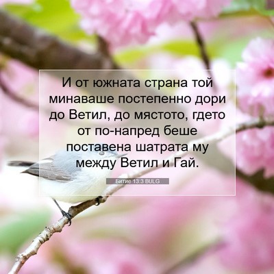 Picture 07 - Битие 13:3 BULG - И от южната страна той - Bible Verse Picture