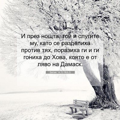 Picture 07 - Битие 14:15 BULG - И през нощта, той и слугите - Bible Verse Picture