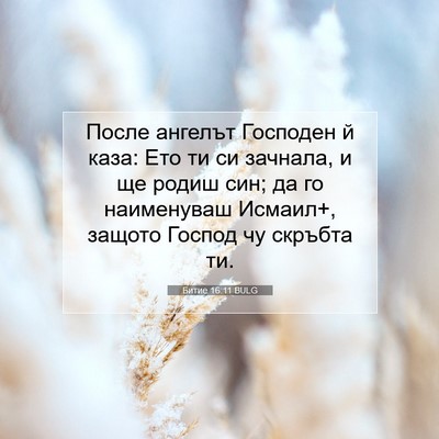 Picture 07 - Битие 16:11 BULG - После ангелът Господен й - Bible Verse Picture