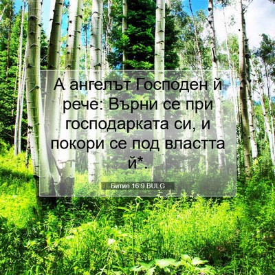 Picture 07 - Битие 16:9 BULG - А ангелът Господен й рече: - Bible Verse Picture