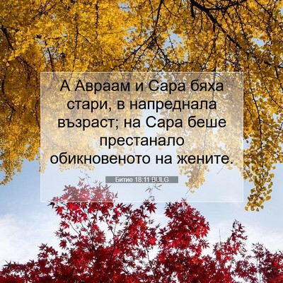 Picture 07 - Битие 18:11 BULG - А Авраам и Сара бяха стари, - Bible Verse Picture