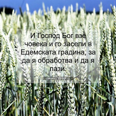 Picture 07 - Битие 2:15 BULG - И Господ Бог взе човека и - Bible Verse Picture