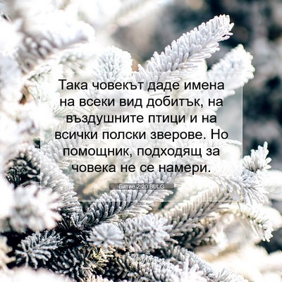 Picture 07 - Битие 2:20 BULG - Така човекът даде имена на - Bible Verse Picture