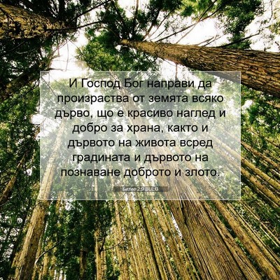 Picture 07 - Битие 2:9 BULG - И Господ Бог направи да - Bible Verse Picture