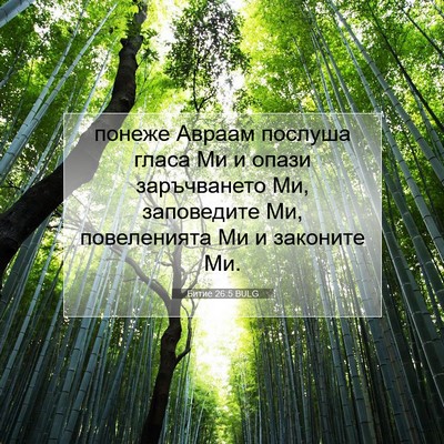 Picture 07 - Битие 26:5 BULG - понеже Авраам послуша - Bible Verse Picture