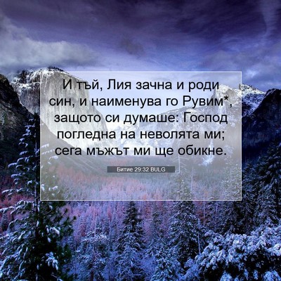 Picture 07 - Битие 29:32 BULG - И тъй, Лия зачна и роди син, - Bible Verse Picture