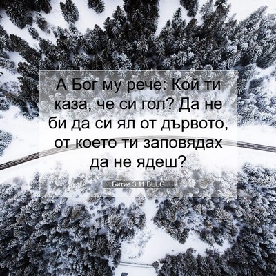 Picture 07 - Битие 3:11 BULG - А Бог му рече: Кой ти каза, - Bible Verse Picture