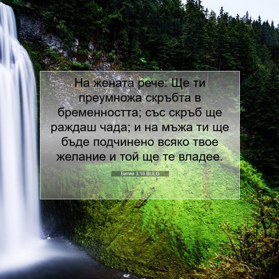 Picture 07 - Битие 3:16 BULG - На жената рече: Ще ти - Bible Verse Picture
