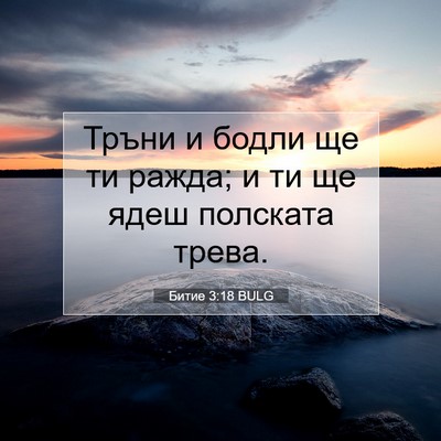 Picture 07 - Битие 3:18 BULG - Тръни и бодли ще ти ражда; и - Bible Verse Picture
