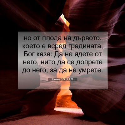 Picture 07 - Битие 3:3 BULG - но от плода на дървото, - Bible Verse Picture