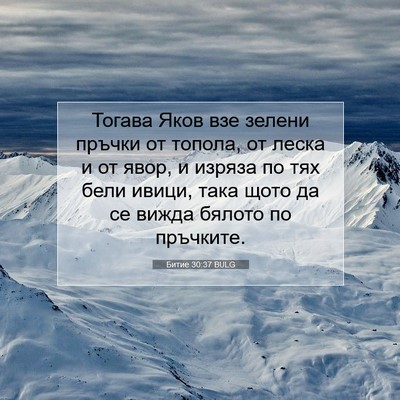 Picture 07 - Битие 30:37 BULG - Тогава Яков взе зелени - Bible Verse Picture