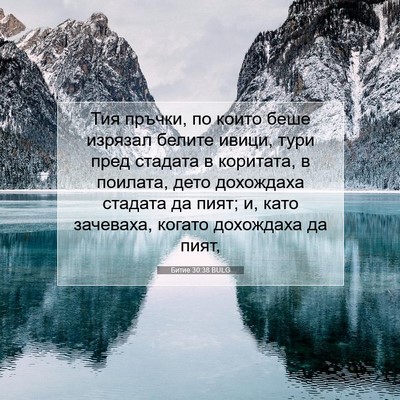 Picture 07 - Битие 30:38 BULG - Тия пръчки, по които беше - Bible Verse Picture
