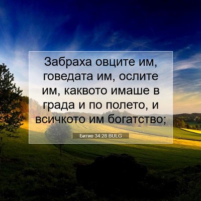 Picture 07 - Битие 34:28 BULG - Забраха овците им, - Bible Verse Picture