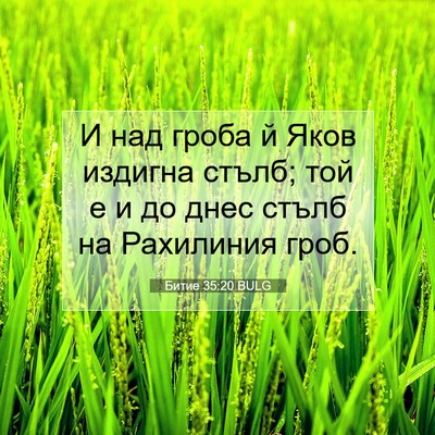 Picture 07 - Битие 35:20 BULG - И над гроба й Яков издигна - Bible Verse Picture