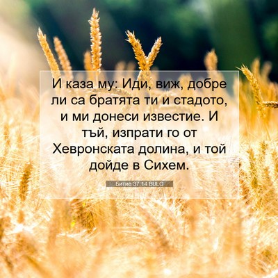 Picture 07 - Битие 37:14 BULG - И каза му: Иди, виж, добре ли - Bible Verse Picture