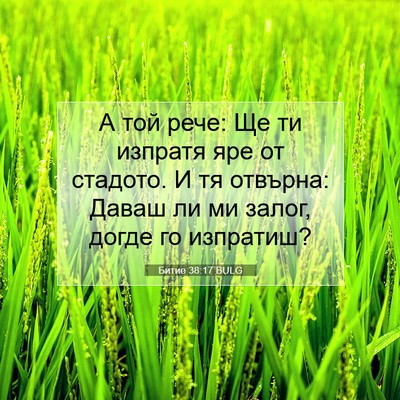 Picture 07 - Битие 38:17 BULG - А той рече: Ще ти изпратя - Bible Verse Picture