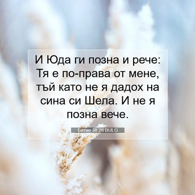 Picture 07 - Битие 38:26 BULG - И Юда ги позна и рече: Тя е - Bible Verse Picture