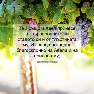 Picture 07 - Битие 4:4 BULG - Тъй също и Авел принесе от - Bible Verse Picture