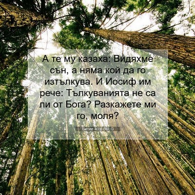 Picture 07 - Битие 40:8 BULG - А те му казаха: Видяхме сън, - Bible Verse Picture